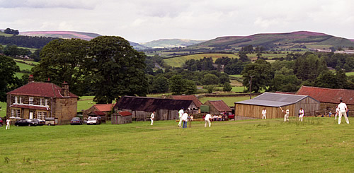 cricket at Spout House