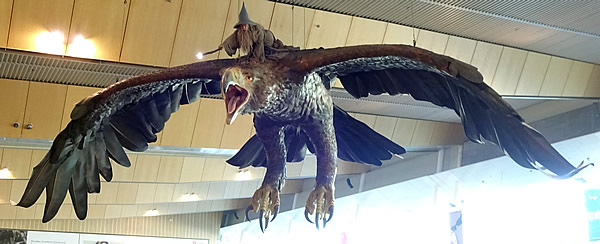 LOTR eagles, Wellington Airport, New Zealand