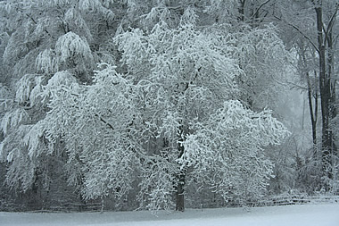 Muenchenstein winter snow