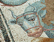Dion mosaic