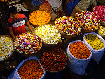 Mumbai flower market