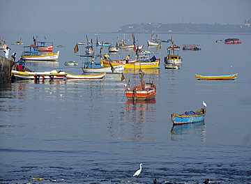 Mumbai Koli fishing village