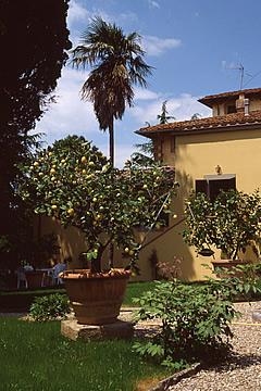 Arezzo villa