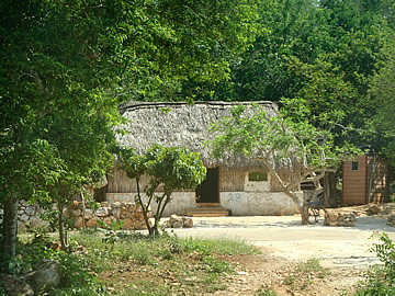 mayan home