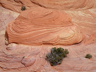 south coyote buttes
