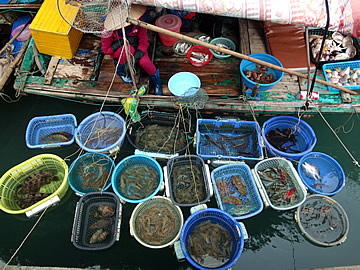 Ha Long Bay Bai Tu Long Bay floating market